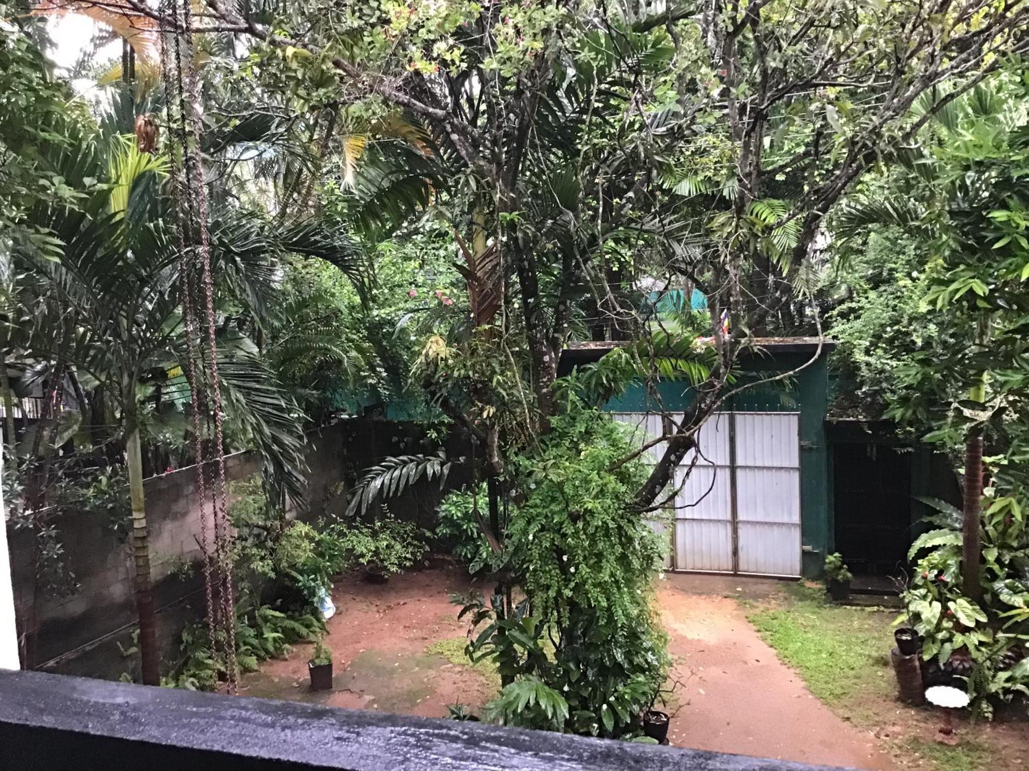 Sanjeehome & Lanka Ayurveda, Bentota Esterno foto